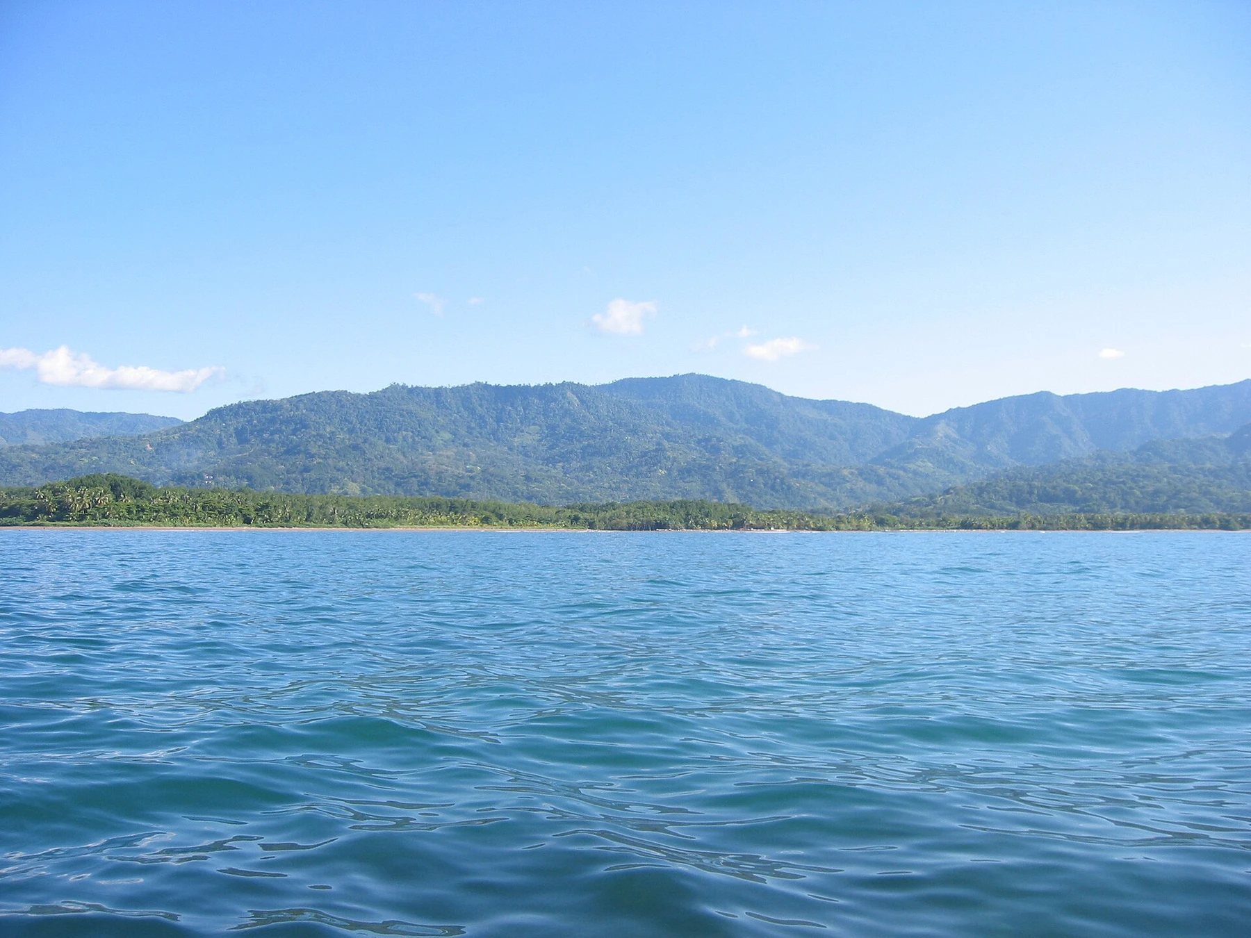 humpback whales at Marino Ballena in Costa Rica.