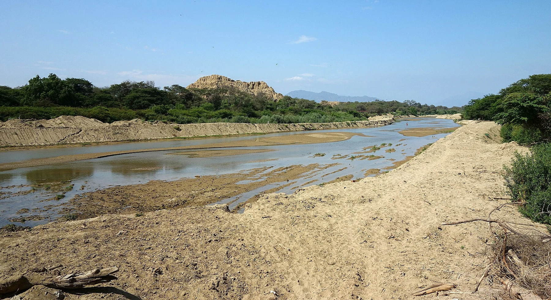Bosque de Pómac in Peru.