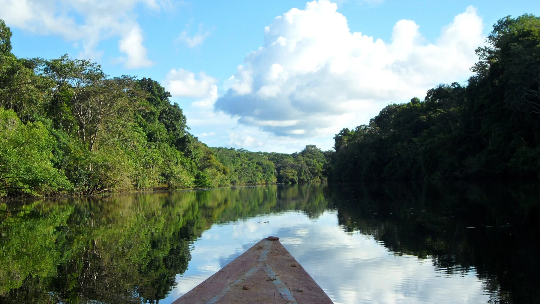 The Marañón River winding through Pacaya-Samiria in Peru.