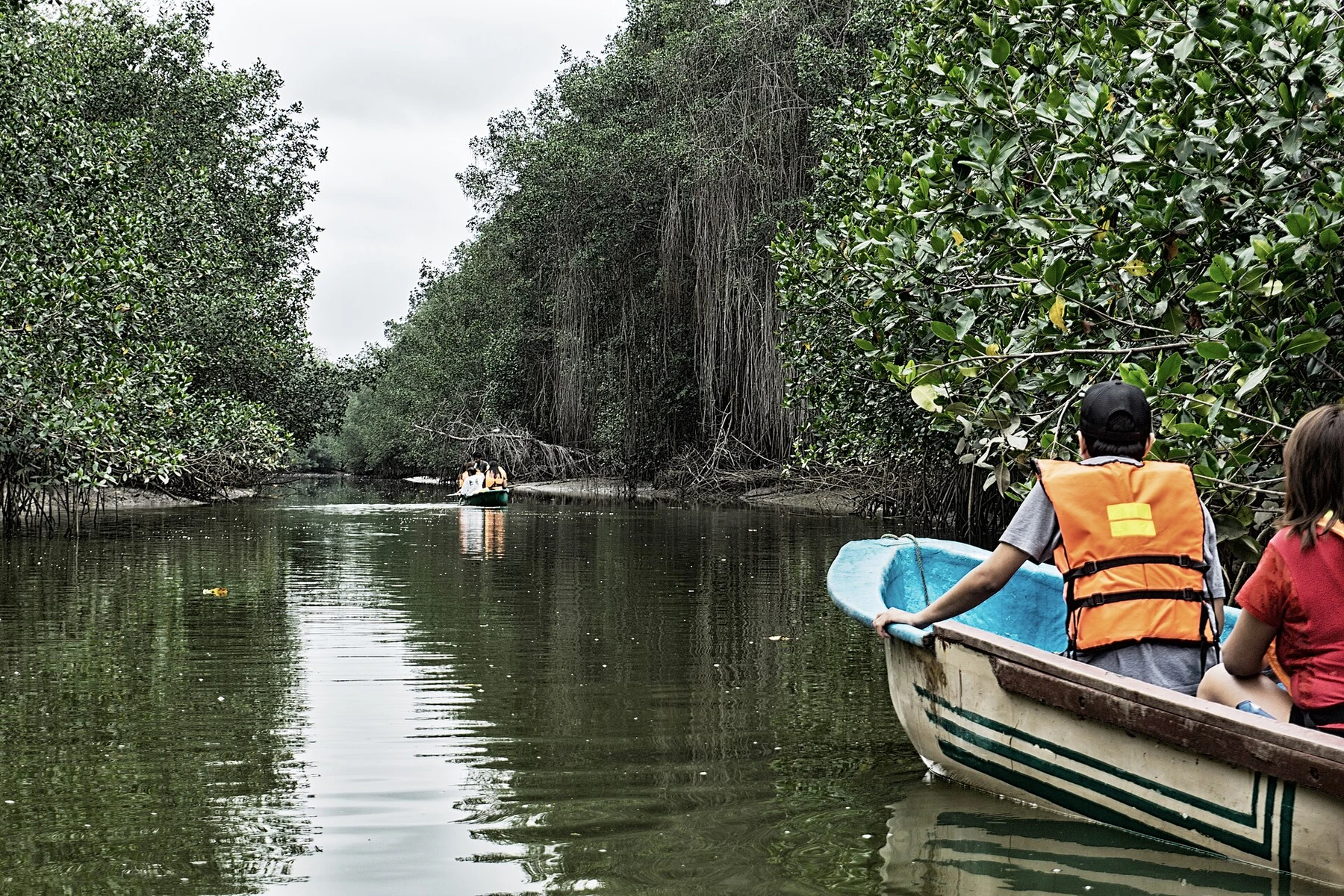 A boat traveling through the mangroves of Tumbes near Puerto Pizarro, Peru.